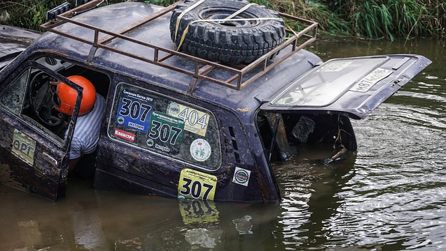 做出明智的 做出明智的