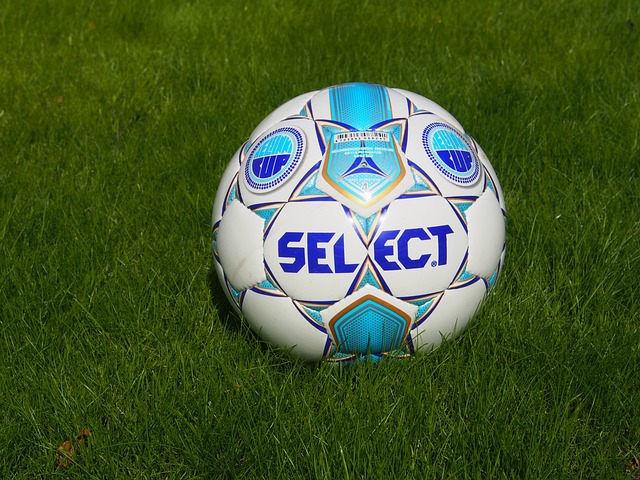 壮大也为跳 壮大也为跳