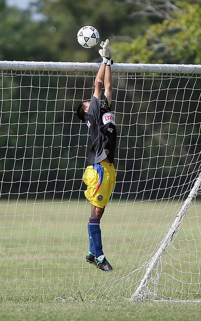 高效的个人 高效的个人