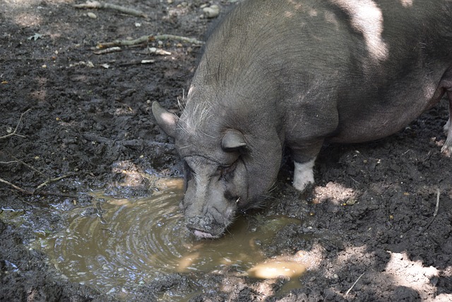 动和社区参 动和社区参