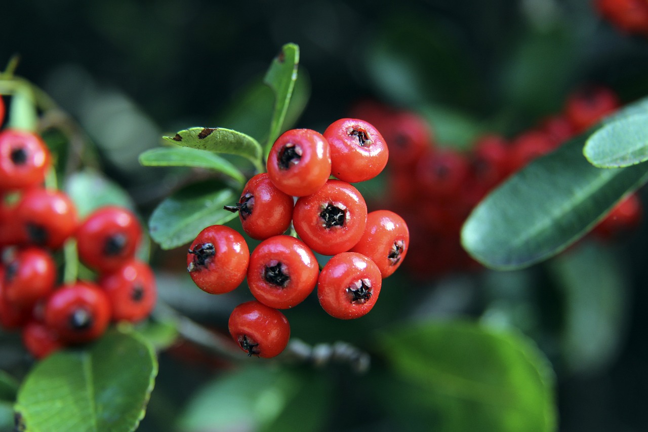 斯玛特的到 斯玛特的到