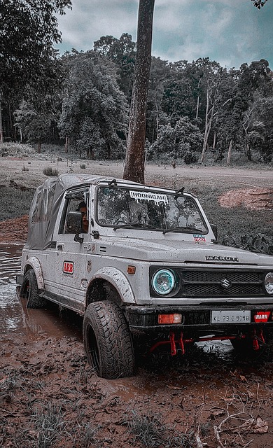 赛战术上 赛战术上